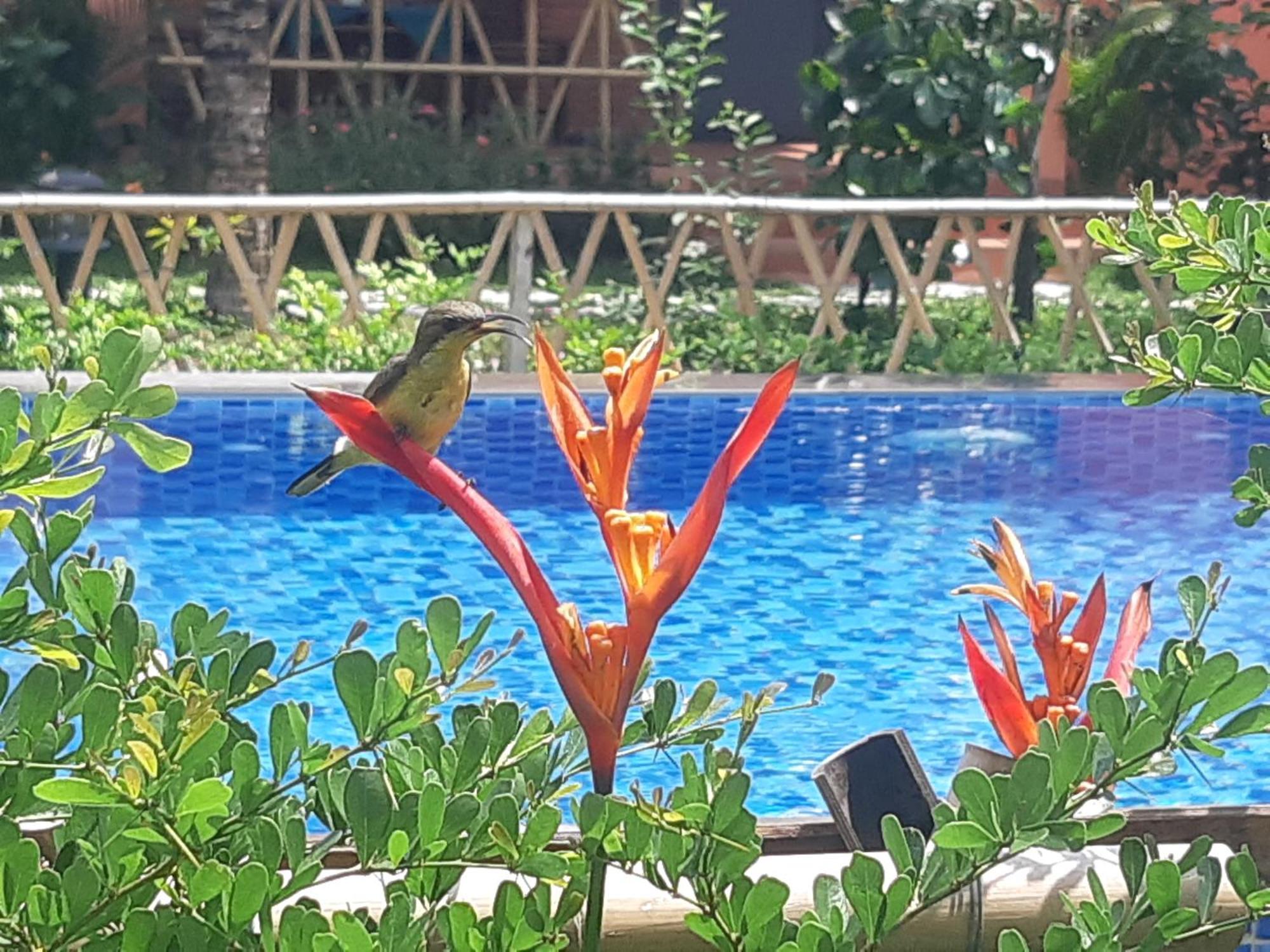Anan Boutique Bungalows With Private Kitchen Phu Quoc Dış mekan fotoğraf