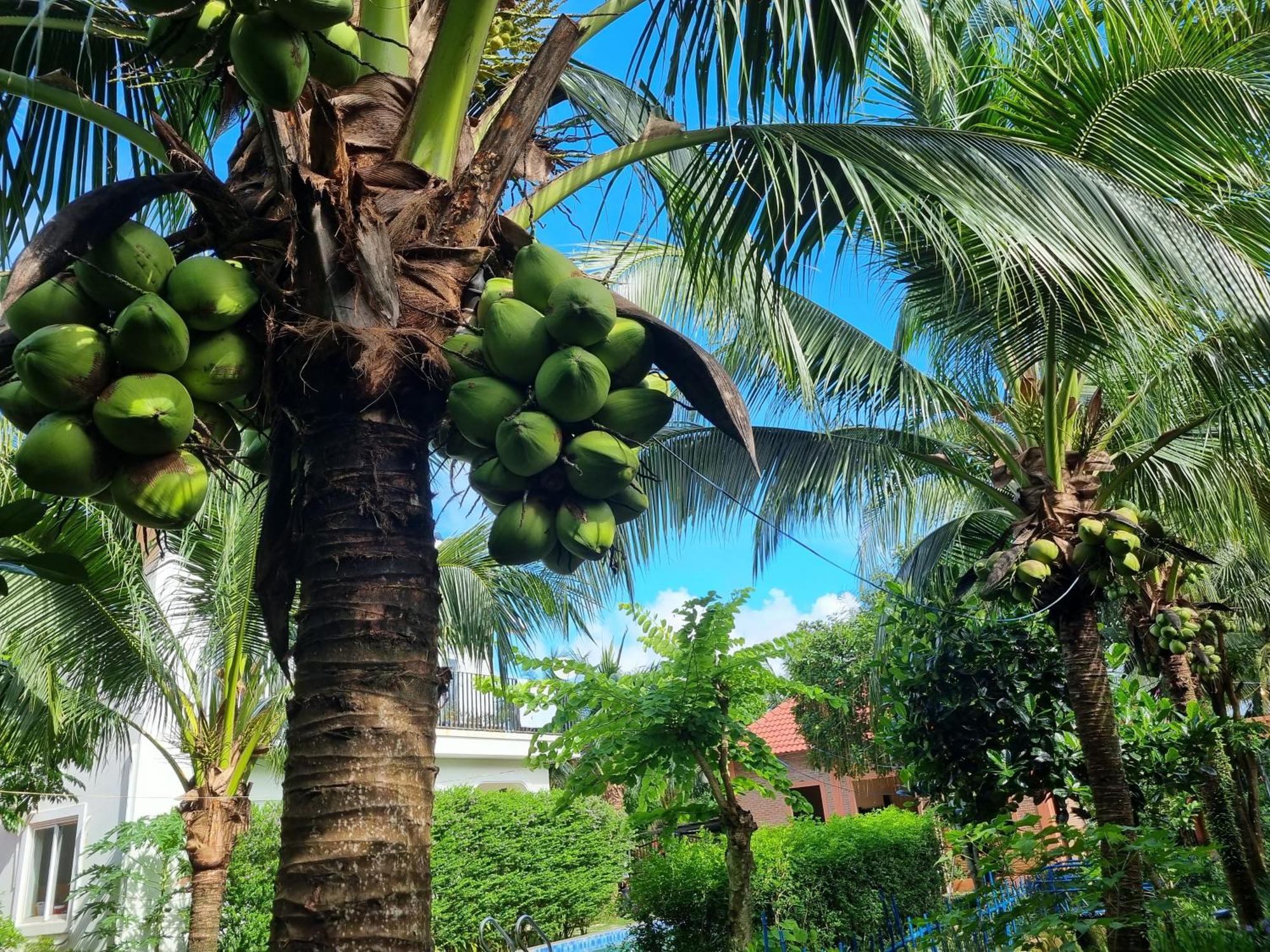 Anan Boutique Bungalows With Private Kitchen Phu Quoc Dış mekan fotoğraf